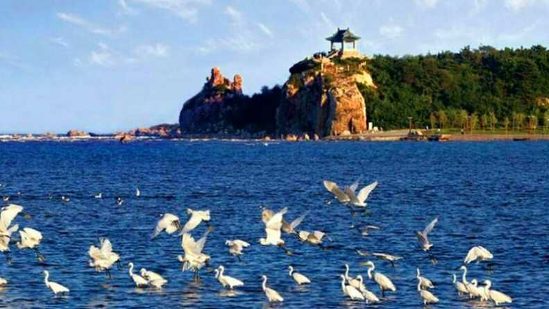 北戴河