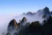 江西九江庐山-景德镇-上饶婺源、三清山纯玩4天游“好摄之途”-南昌往返