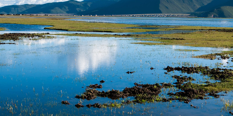 香格里拉纳帕海
