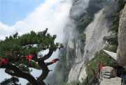 陕西西安华山+明城墙+华清宫+唐大明宫国家遗址公园+秦始皇帝陵博物院+黄帝陵+壶口瀑布双飞6日游