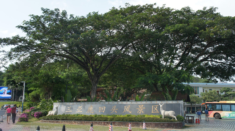 鹿回头