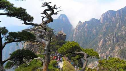 漫步云端仙山｜江西三清山游记，邂逅花岗岩峰林的旷世奇景