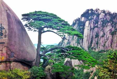江西南昌+九江庐山+景德镇+上饶婺源+安徽黄山+千岛湖+浙江新安江六天游