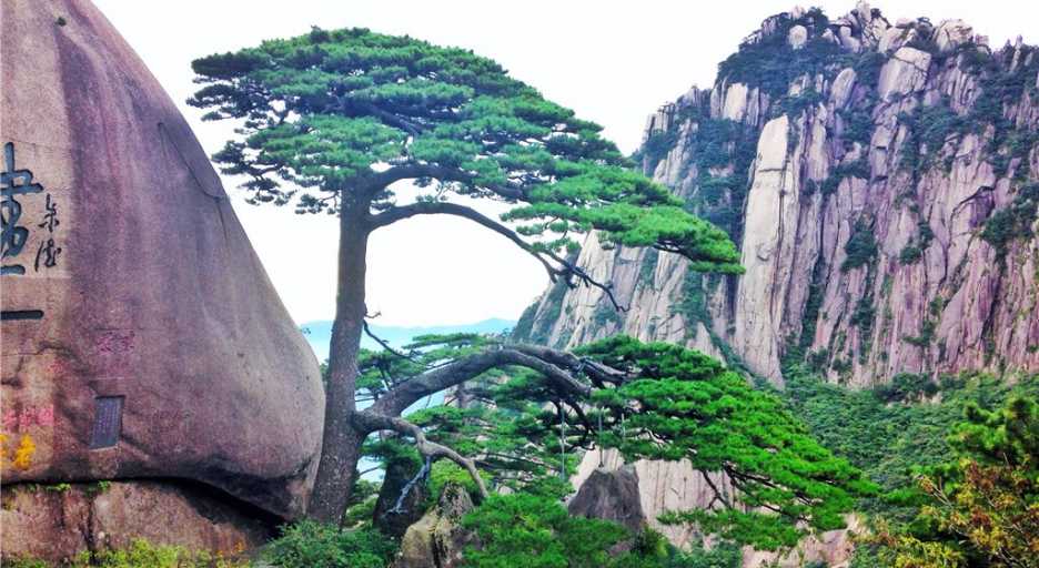 江西南昌+九江庐山+景德镇+上饶婺源+安徽黄山+千岛湖+浙江新安江六天游