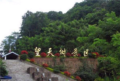 西双版纳热带阳光 6日度假游