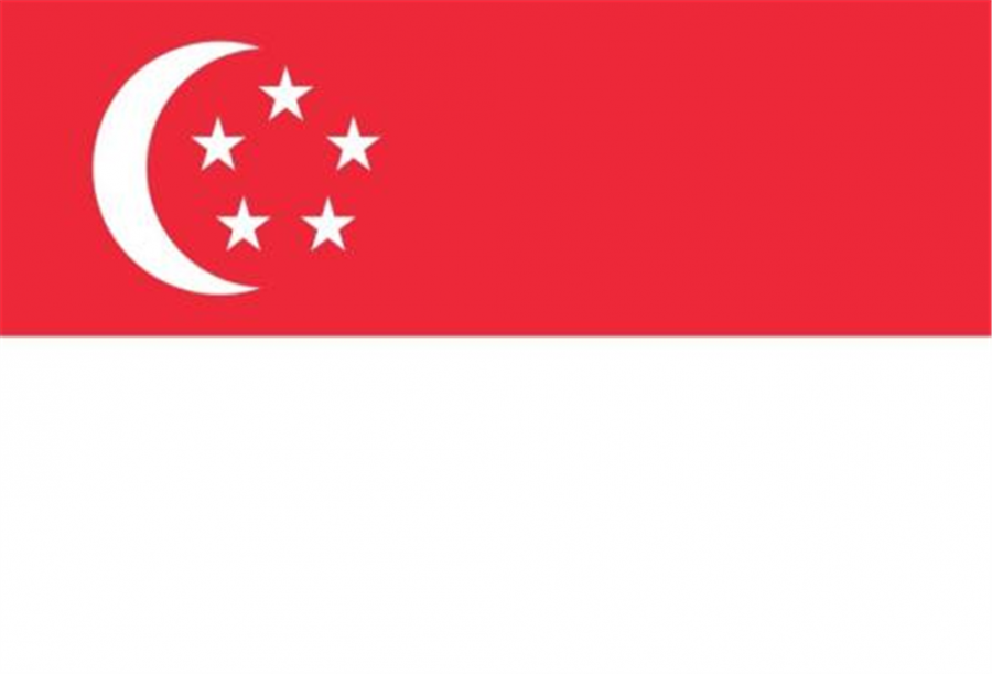 新加坡