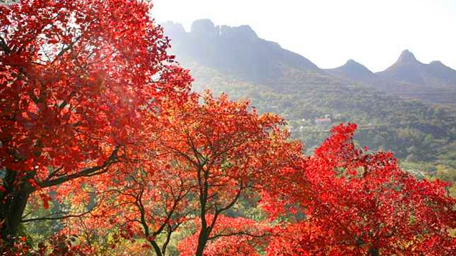 庐山