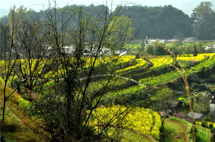 江岭美景