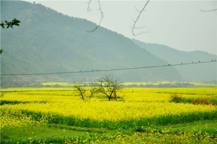 途中风景