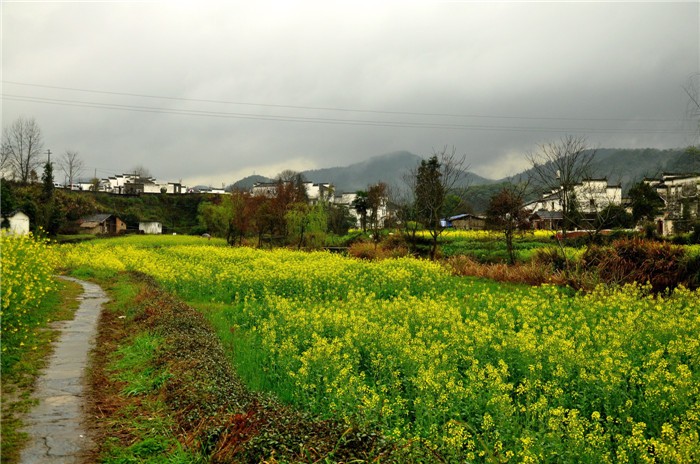 延村